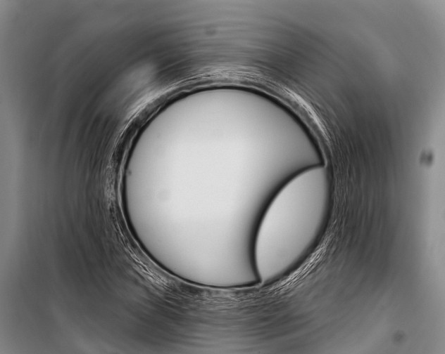 X0000101211019200806270848