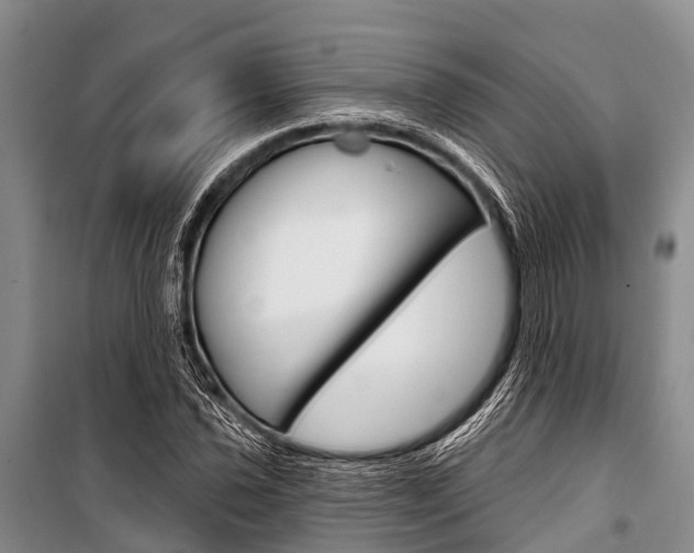 X0000101211021200806270848