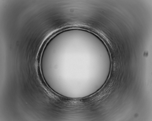 X0000101211024200806270848