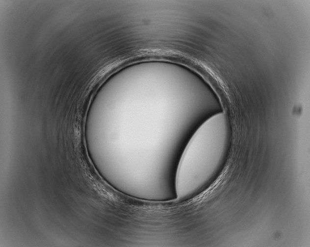 X0000101211025200806270848