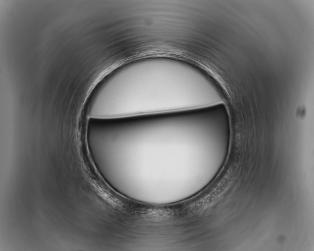 X0000101211026200806270848