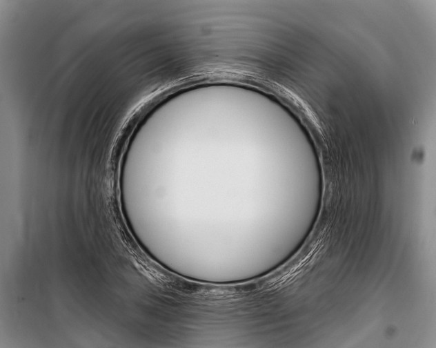 X0000101211027200806270848