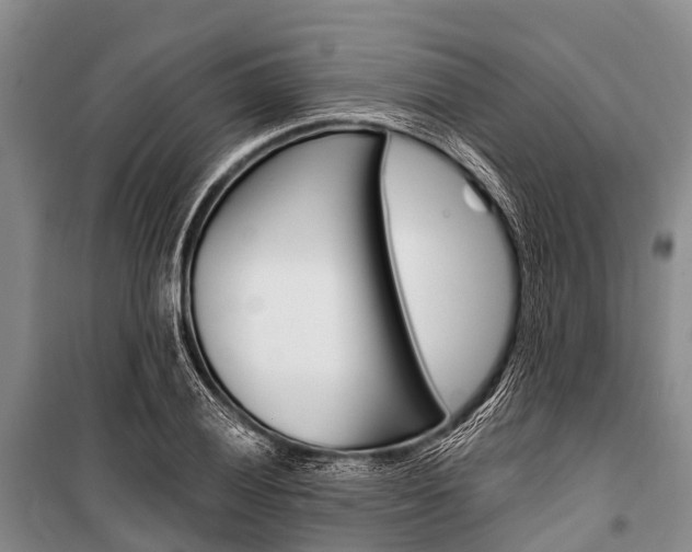 X0000101211028200806270849