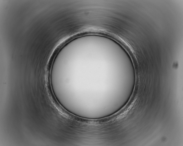 X0000101211029200806270849