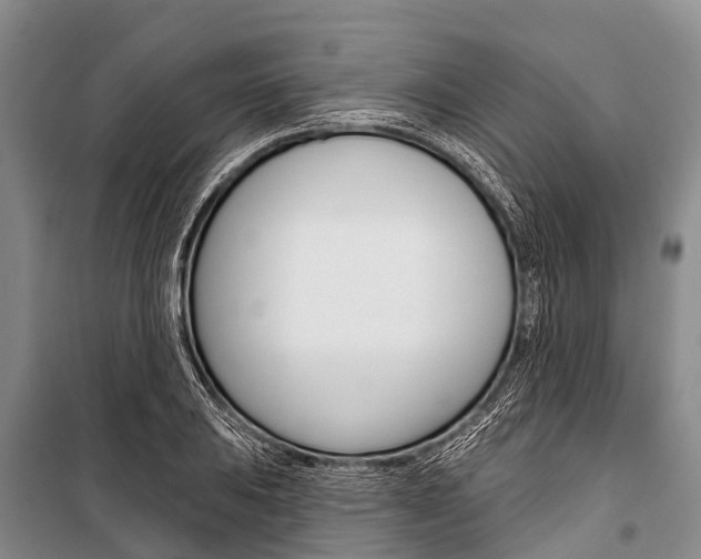 X0000101211031200806270849