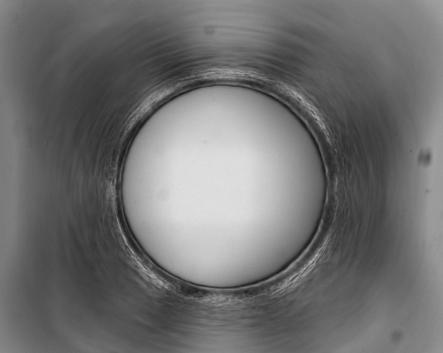 X0000101211033200806270849
