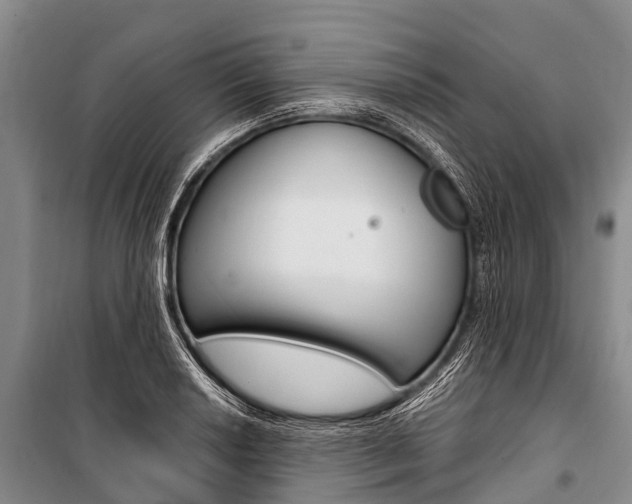 X0000101211034200806270849