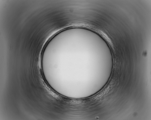 X0000101211036200806270849
