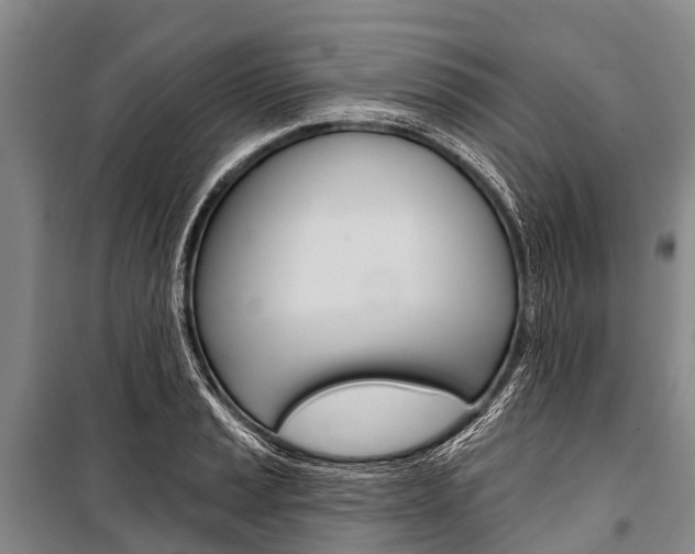 X0000101211037200806270849