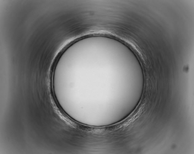 X0000101211038200806270849