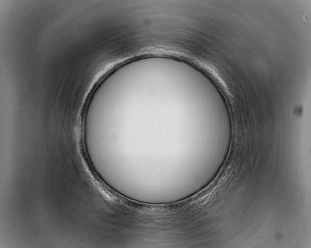 X0000101211040200806270849