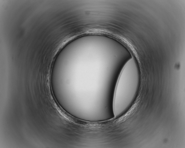 X0000101211041200806270849