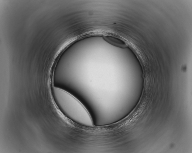 X0000101211042200806270849