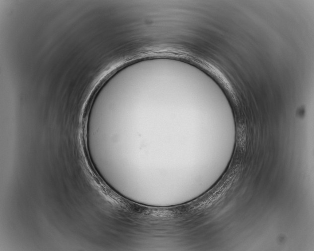 X0000101211043200806270849