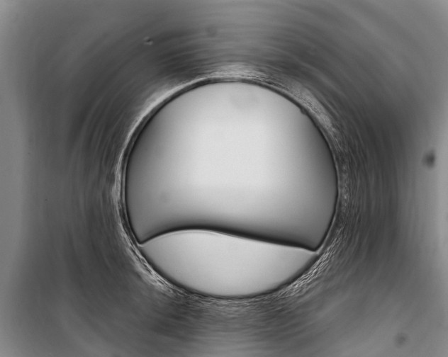 X0000101211044200806270849