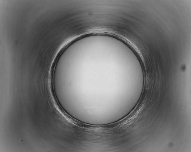 X0000101211045200806270849