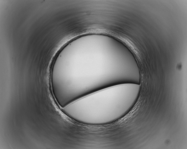 X0000101211046200806270849
