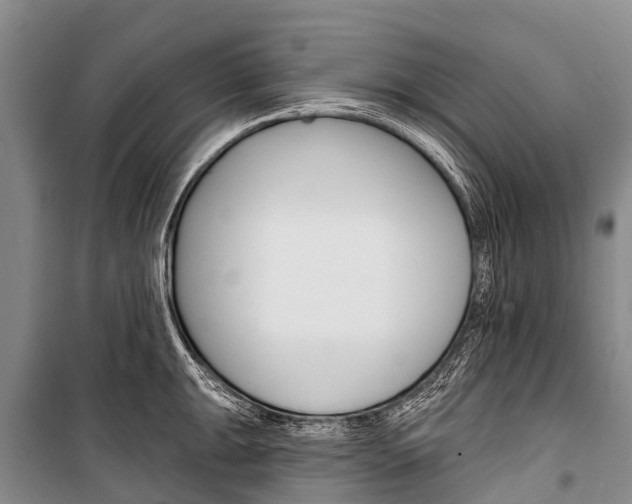 X0000101211047200806270849