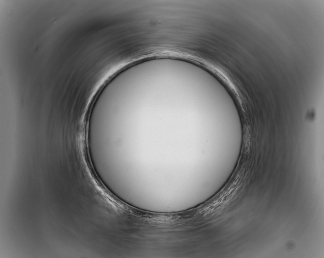X0000101211048200806270849