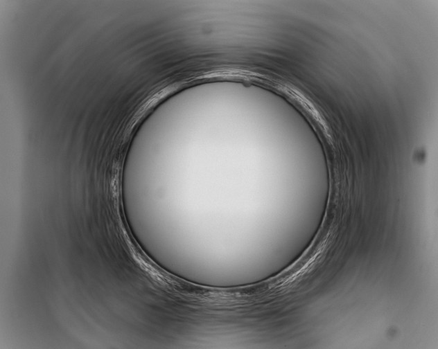 X0000101211049200806270849