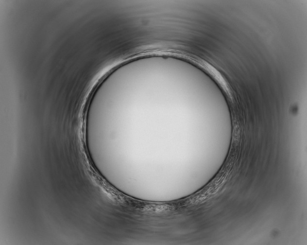 X0000101211051200806270849