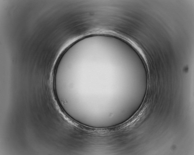X0000101211053200806270849