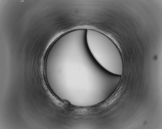 X0000101211054200806270849