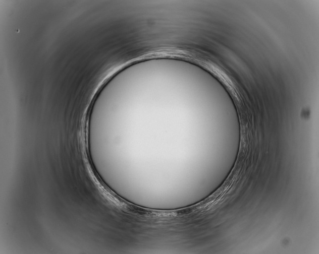 X0000101211055200806270849