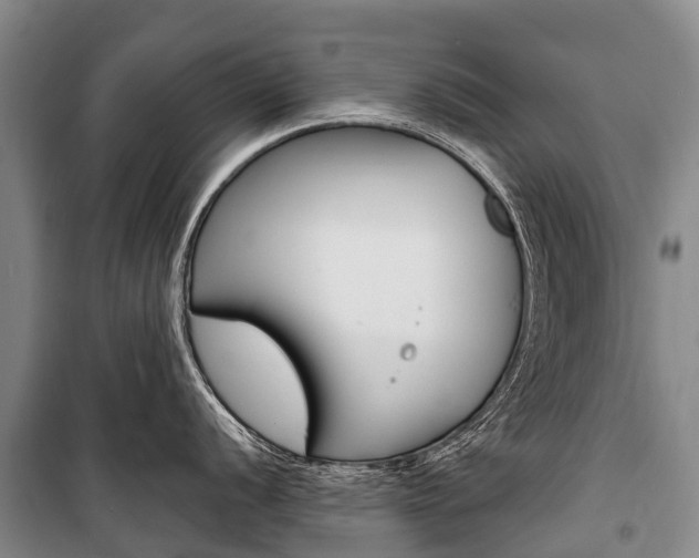 X0000101211056200806270849