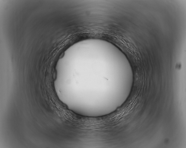 X0000101211057200806270848