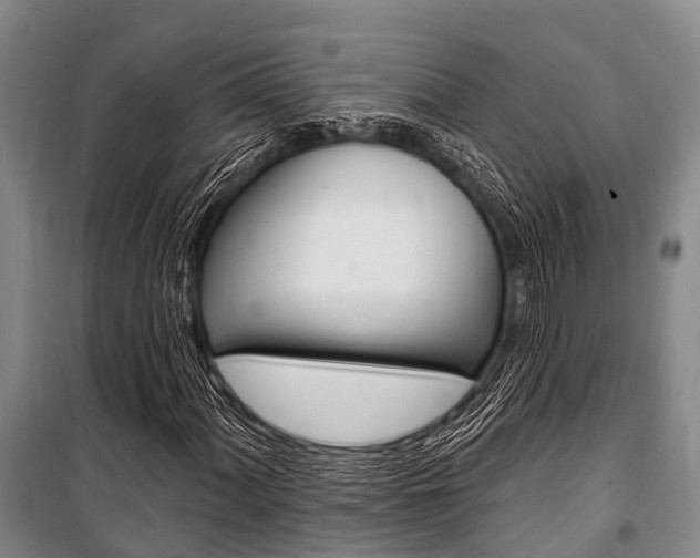 X0000101211060200806270848
