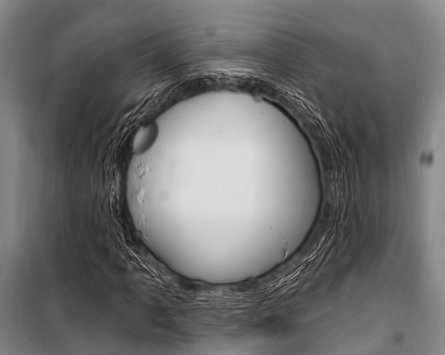 X0000101211061200806270848