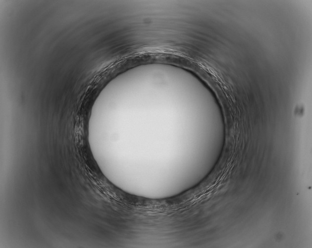 X0000101211062200806270848