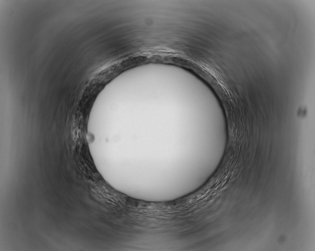 X0000101211063200806270848