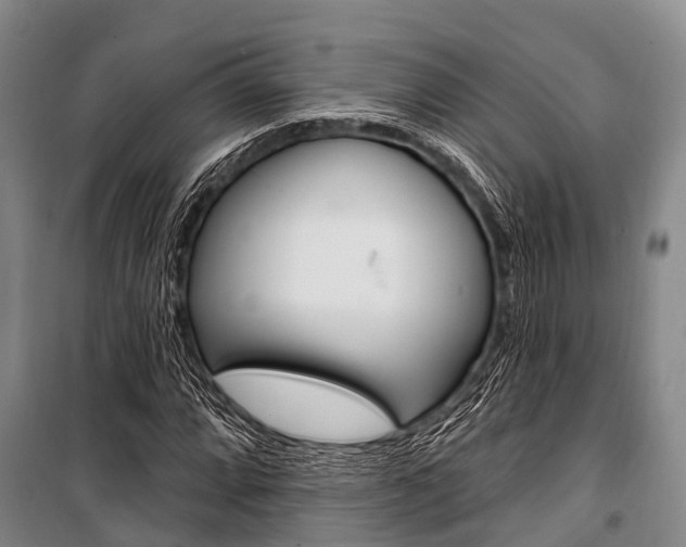 X0000101211064200806270848