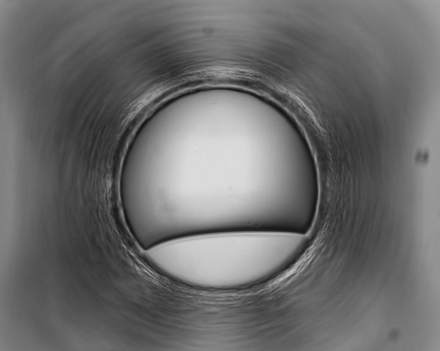 X0000101211065200806270848