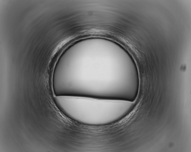 X0000101211066200806270848