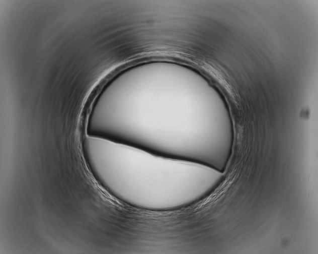 X0000101211068200806270848