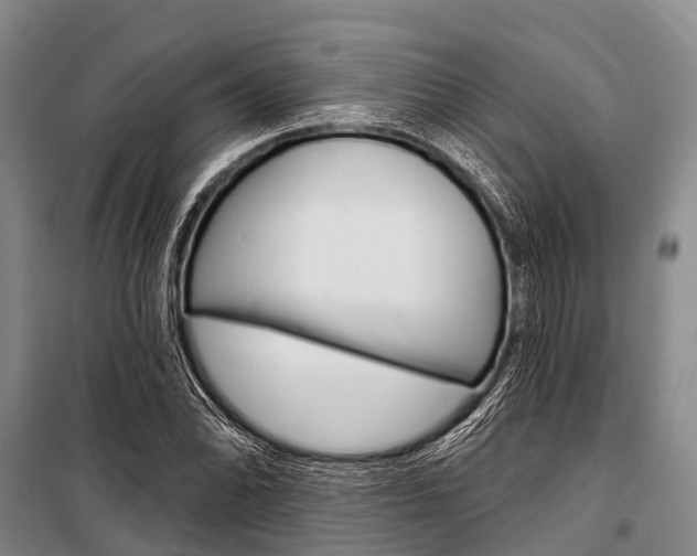 X0000101211070200806270848
