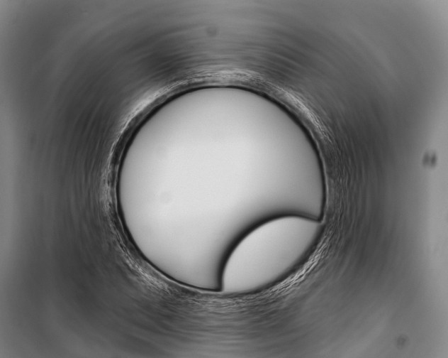 X0000101211071200806270848