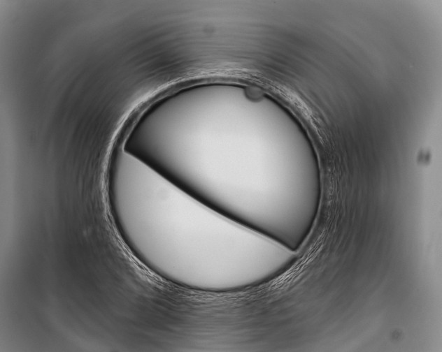 X0000101211072200806270848