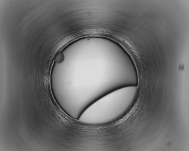 X0000101211073200806270848