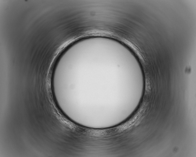 X0000101211074200806270848