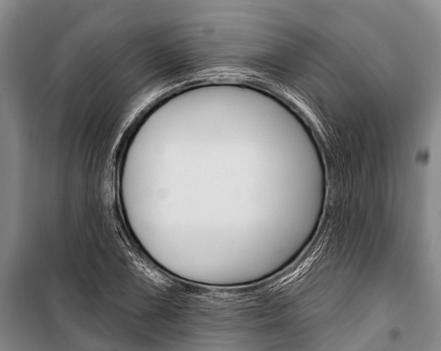 X0000101211075200806270848