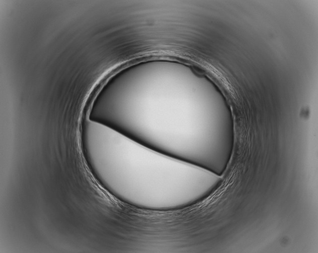 X0000101211076200806270848
