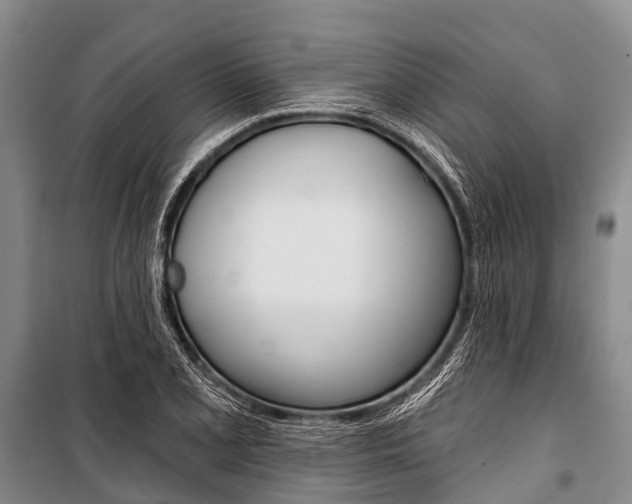 X0000101211077200806270848