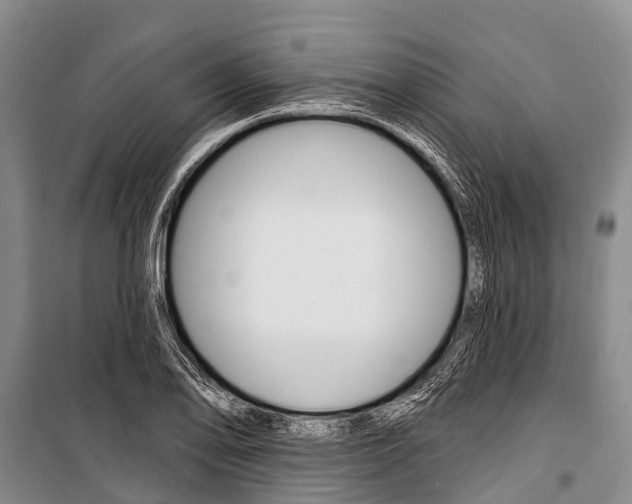 X0000101211078200806270848