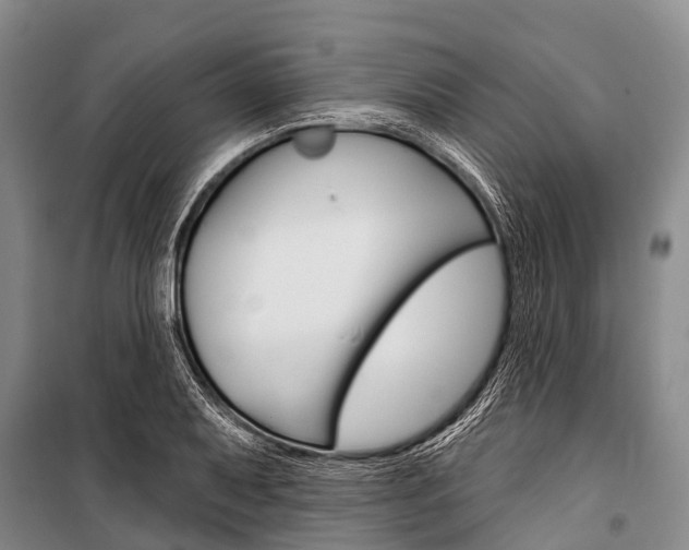 X0000101211079200806270848