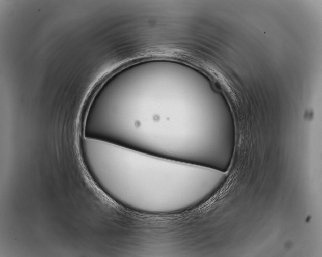 X0000101211080200806270848