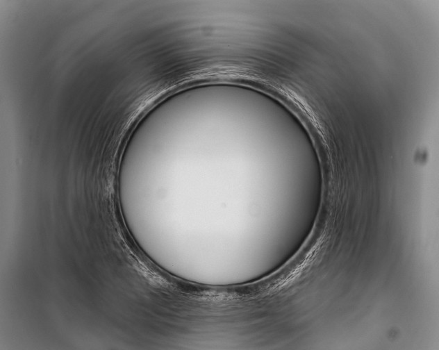 X0000101211081200806270848